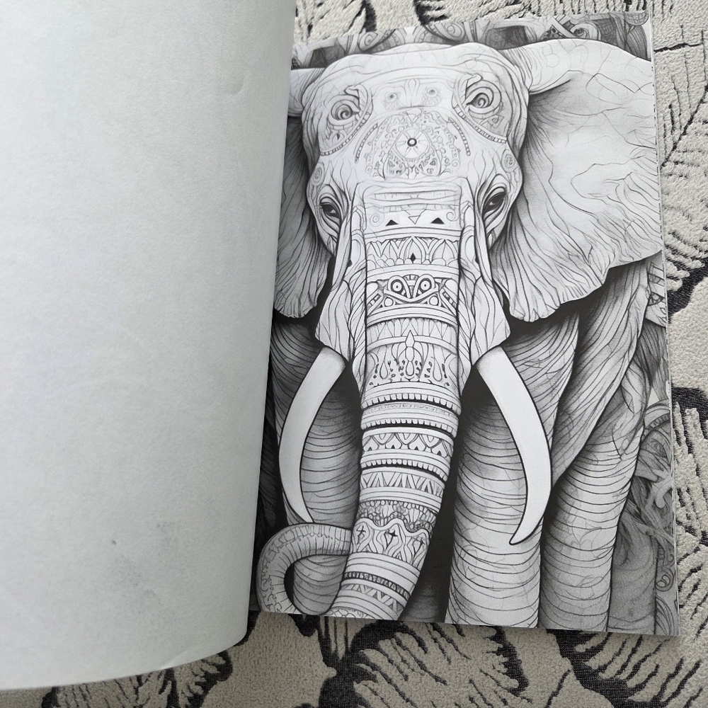 Enchanted Animals Coloring Cook - Picture 12 of 16